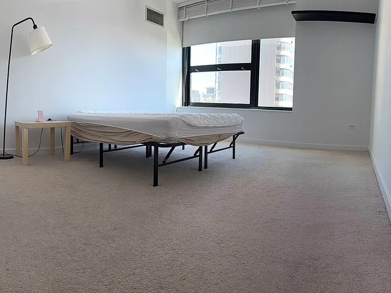 1160 S Michigan Ave #1103 — Photo 5
