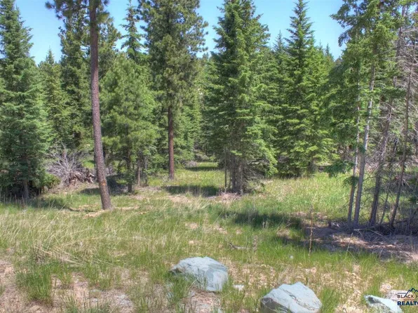 11292 Trailside Loop, Lead, SD 57754