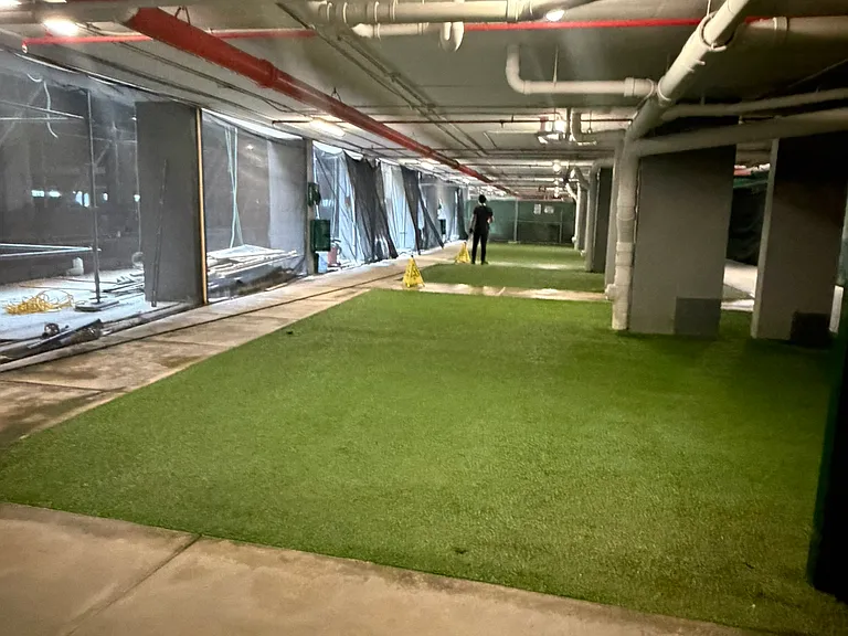 Dog Turf