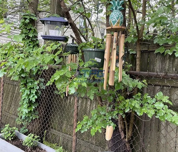 111 Mallory Ave #7 — Photo 7