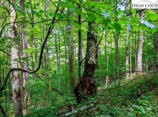 LOT 16 Rich Mountain Rd, Zionville, NC 28698