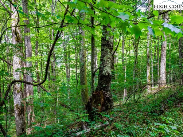 Lot 16 Rich Mountain Estates, Zionville, NC 28698