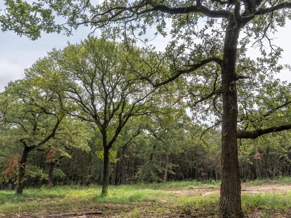 4760 Coleman Ranch Rd, Tolar, TX 76476