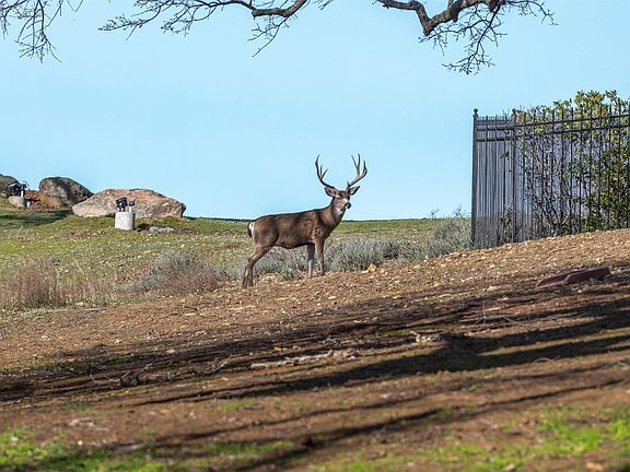 3rd image of 18 Guadalupe Dr