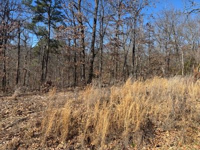 Winsford Ln #31, Bella Vista, AR, 72714