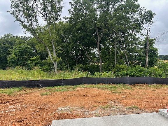 4th image of 6406 Japonica Ln