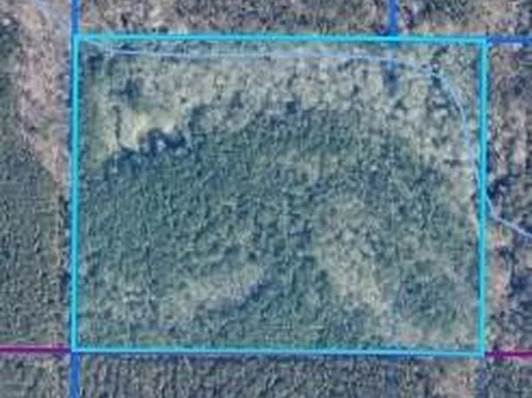 Red Rock Rd, Robeline, LA 71469