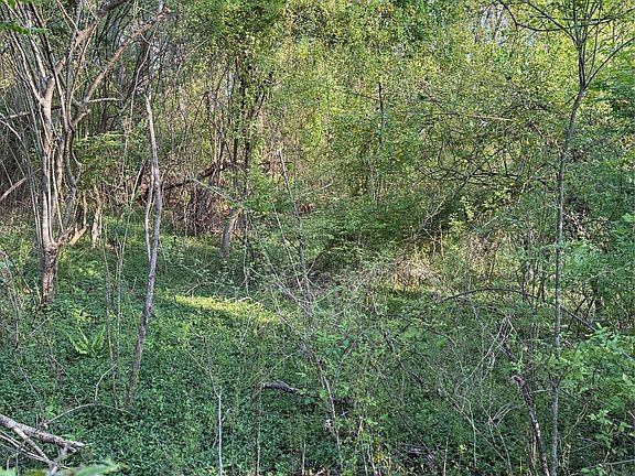 4th image of 0 Cashiers Valley Rd Tract 2