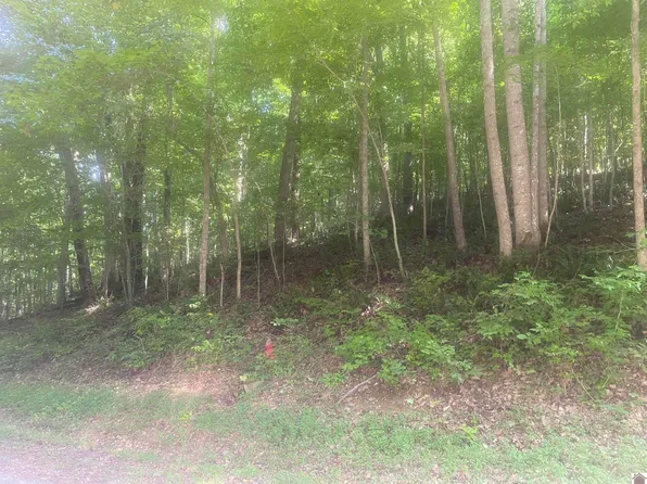 90 Canton Heights Cir #Ii, Cadiz, KY 42211