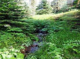 13789 Elsie Rd, Conifer, CO 80433