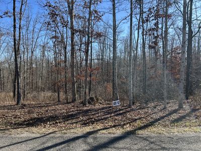 12 Slaughter Rd Lot 12, Primm Springs, TN, 38476