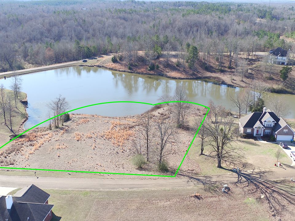 Southern Bird Eye View