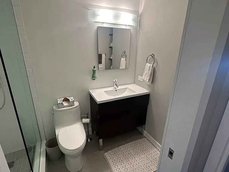 1250 N Dearborn St #22A — Photo 12