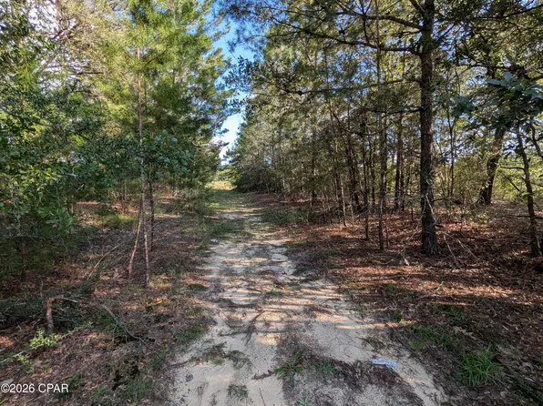 Willow Bend Dr, Defuniak Springs, FL 32433