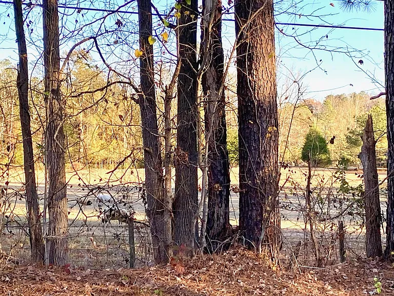 301 County Road 1001 — Photo 29