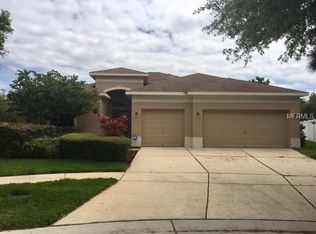 11119 Holly Cone Dr, Riverview, FL 33569