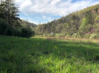 310 Beechmont Rd, Sandy Hook, KY 41171