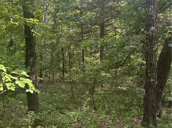 Ventris Rd, Garfield, AR 72732