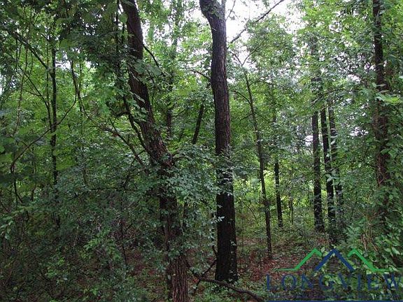 4th image of County Road 462