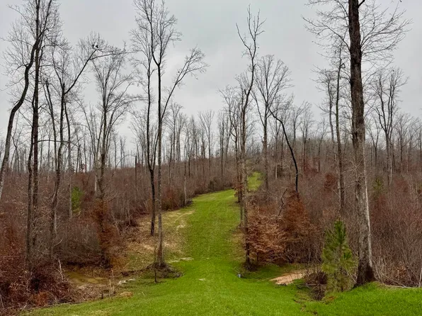 7900 Brooksie Thompson Rd, Bath Springs, TN 38311