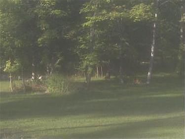 1st image of 12856 Vincent Dr