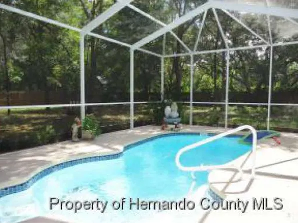 17235 Carlesimo Ave, Spring Hill, FL 34610