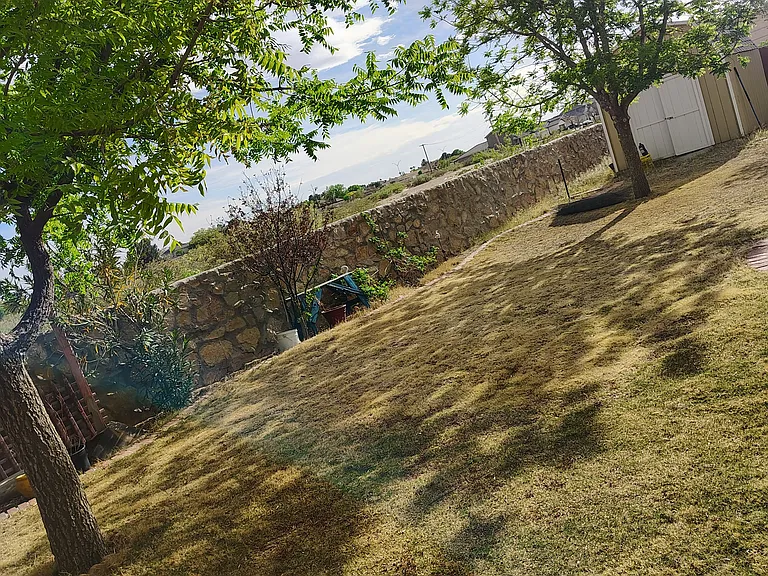 14224 Desert Ash Dr — Photo 20