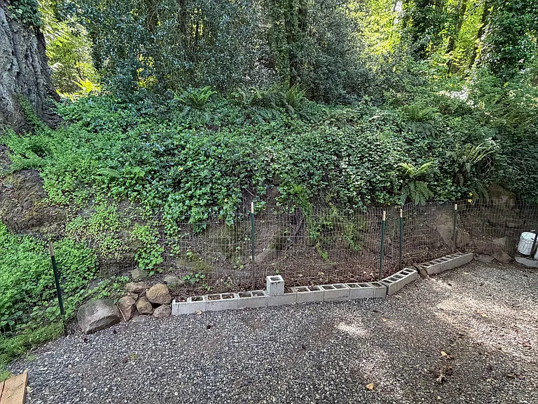 Back patio