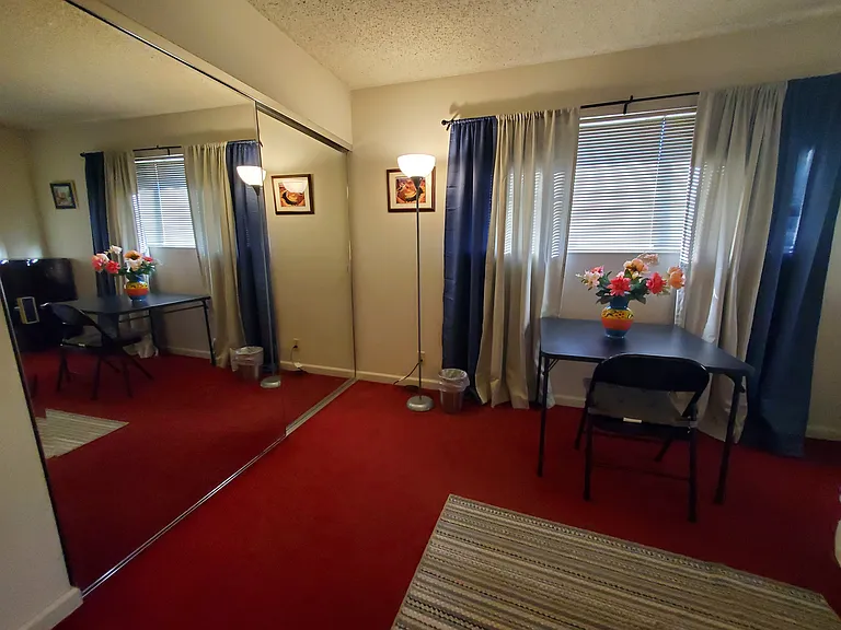 Floor-Ceiling Mirror Closets