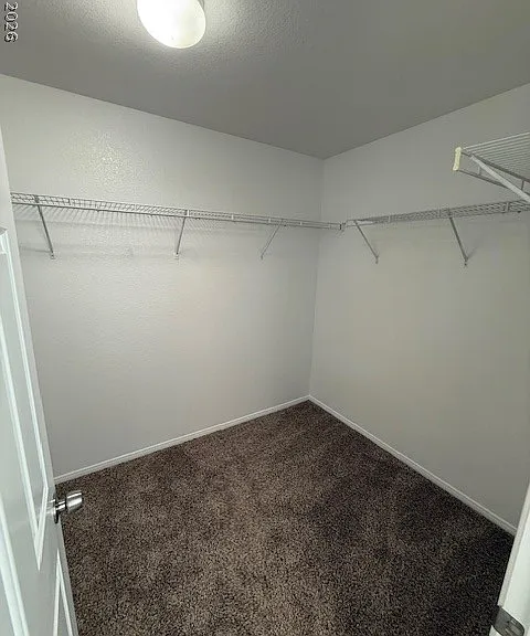 9288 Cabin Cove Ave — Photo 12