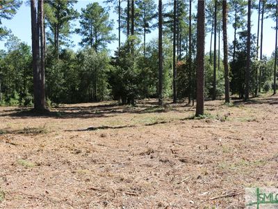 0 Captain Cone Court lot 15, Brooklet, GA, 30415