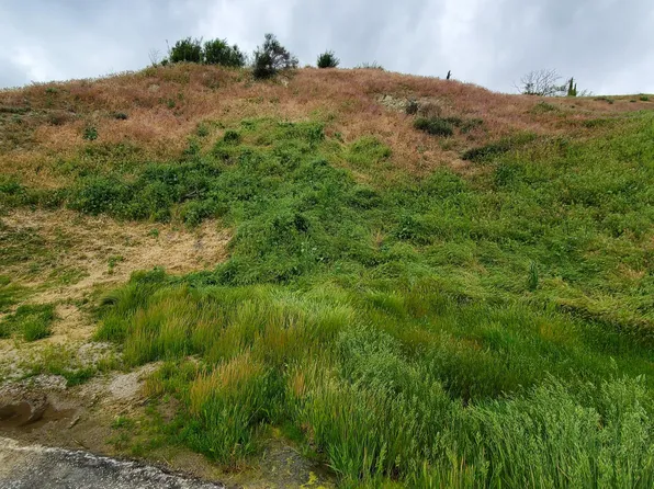 Cutwood Rd, Lake Elizabeth, CA 93532