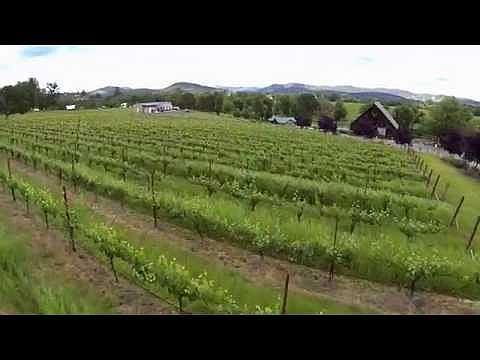 Blue Heron Winery