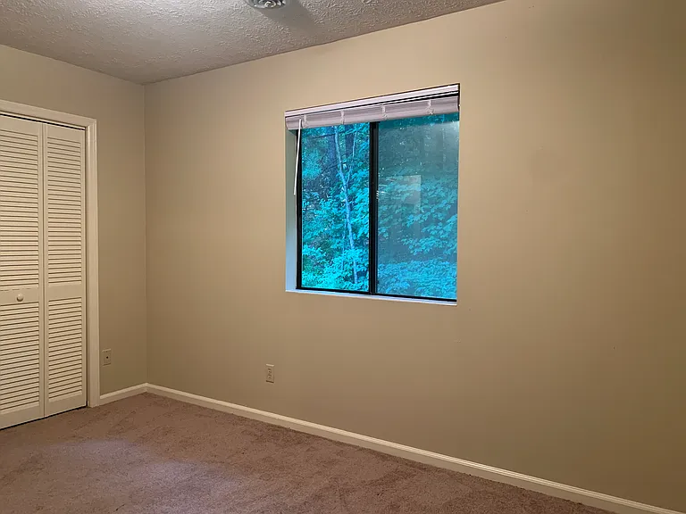 217 Bear Creek Rd — Photo 13
