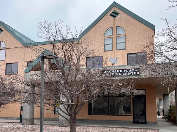 218 E Valley Rd #102, Basalt, CO 81621