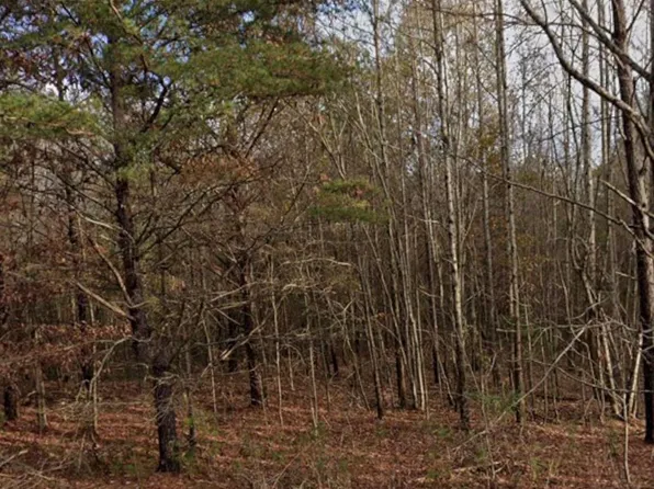 420 Sandusky Rd, Phil Campbell, AL 35581