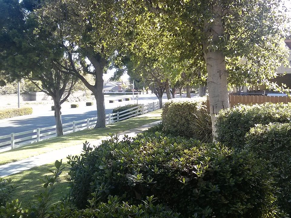 1st image of 6908 Steinbeck St