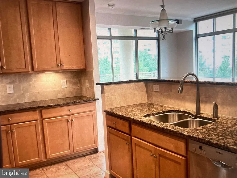 1001 N Randolph St #509 — Photo 7