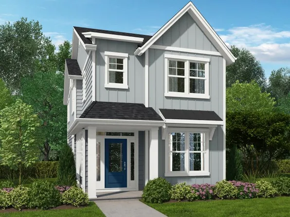 Natalia Plan, Butternut Creek : The Forrest Collection
