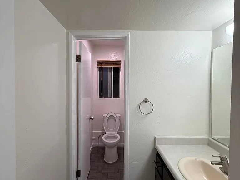 2617 Auburn Ct — Photo 9