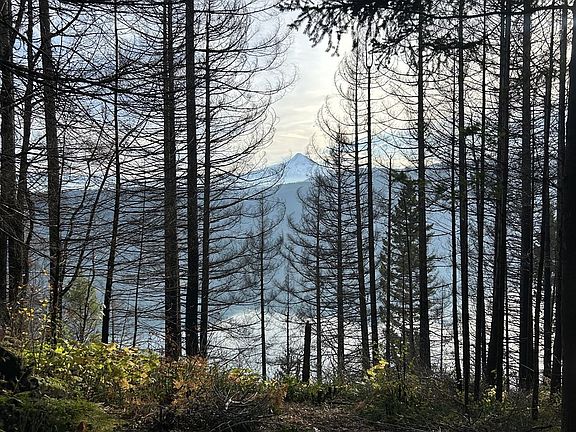 3rd image of 9562 Cook Underwood Rd