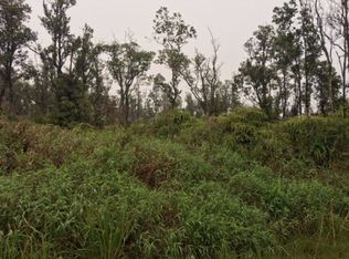 LOT 49 Lot 49, Volcano, HI 96785