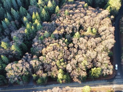 5160 Happy Pines Dr, Foresthill, CA, 95631