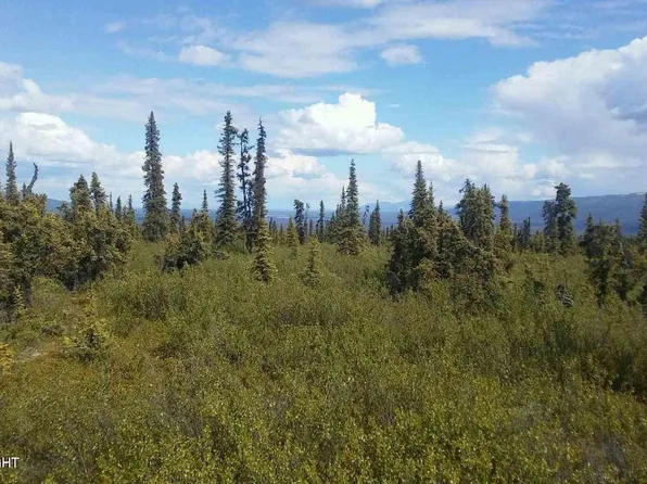 Township Road 14 S Timber Wolf Rd, Sutton, AK 99674