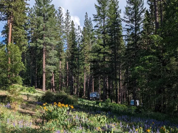 5738 Chandler Rd, Quincy, CA 95971