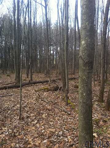 2nd image of 116 Knapp Rd