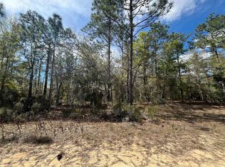 Deland Avenue Lot #6, Interlachen, FL 32148