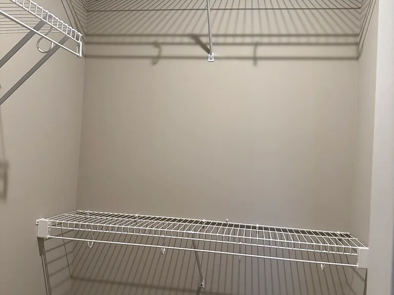 Guest bedroom walk-in closet
