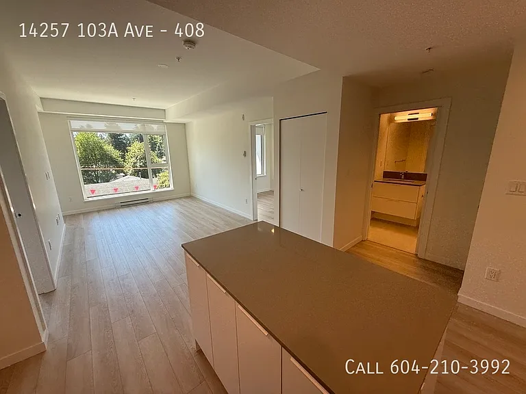 14257 103a Ave #408 — Photo 4