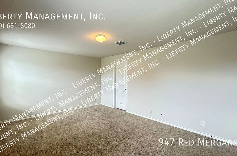 947 Red Merganser — Photo 25